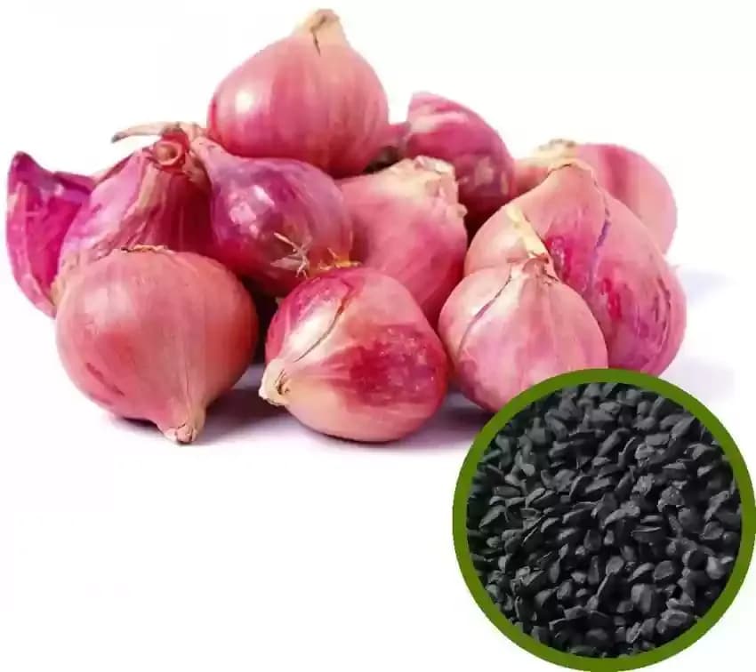 onion.webp