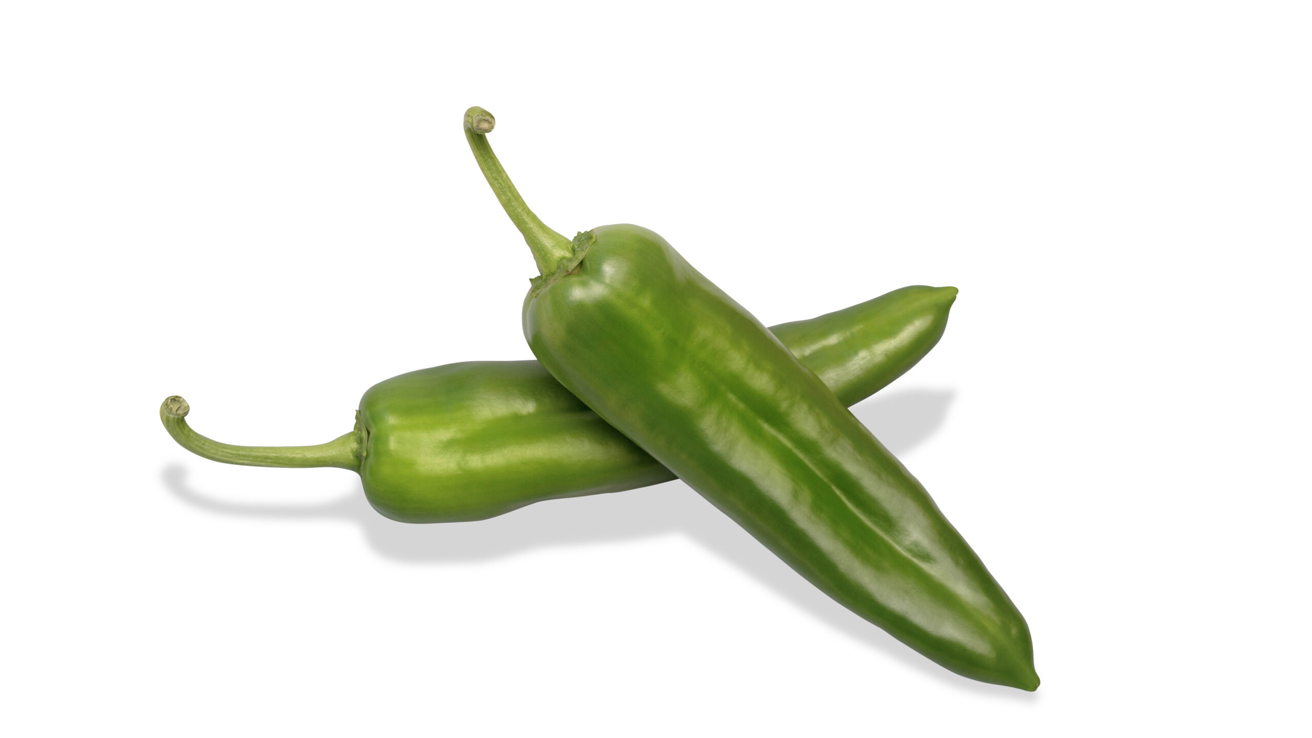 Hot Paper Seeds