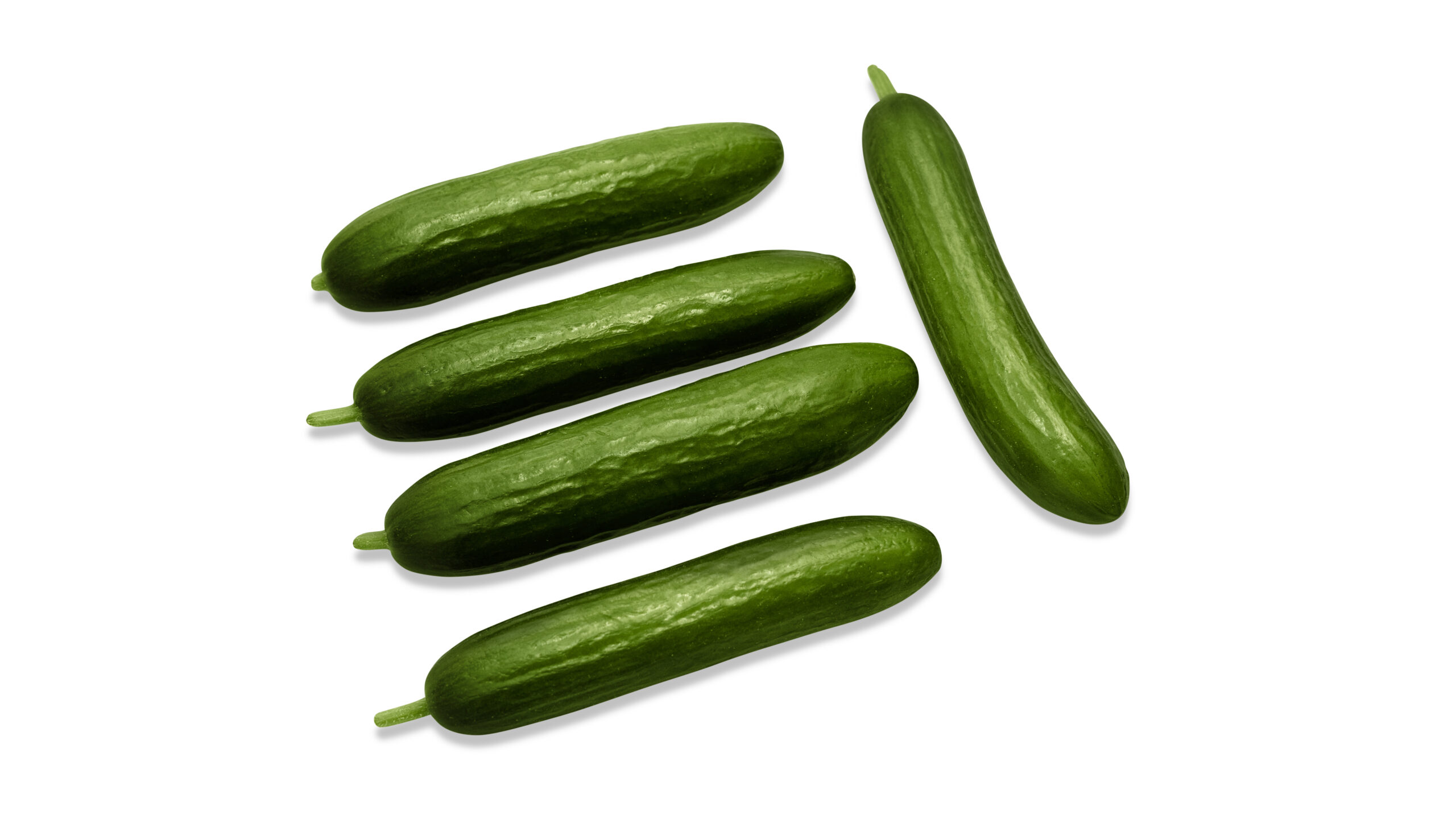 Cucumber Seeds
